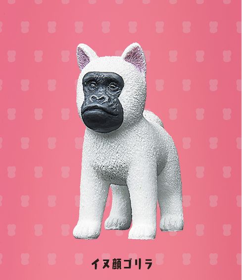 买彩票乐趣,买福利彩票乐趣