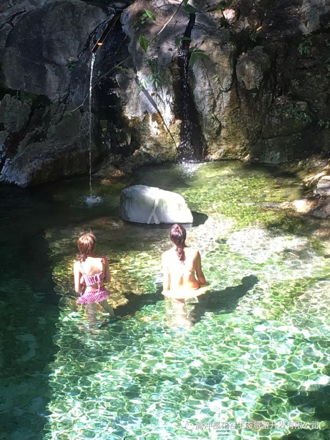 腾冲樱花谷景区,腾冲樱花谷12月份有樱花吗