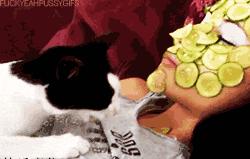 淘宝自营的护肤品是正品吗,淘宝上的护肤品原料是真的吗