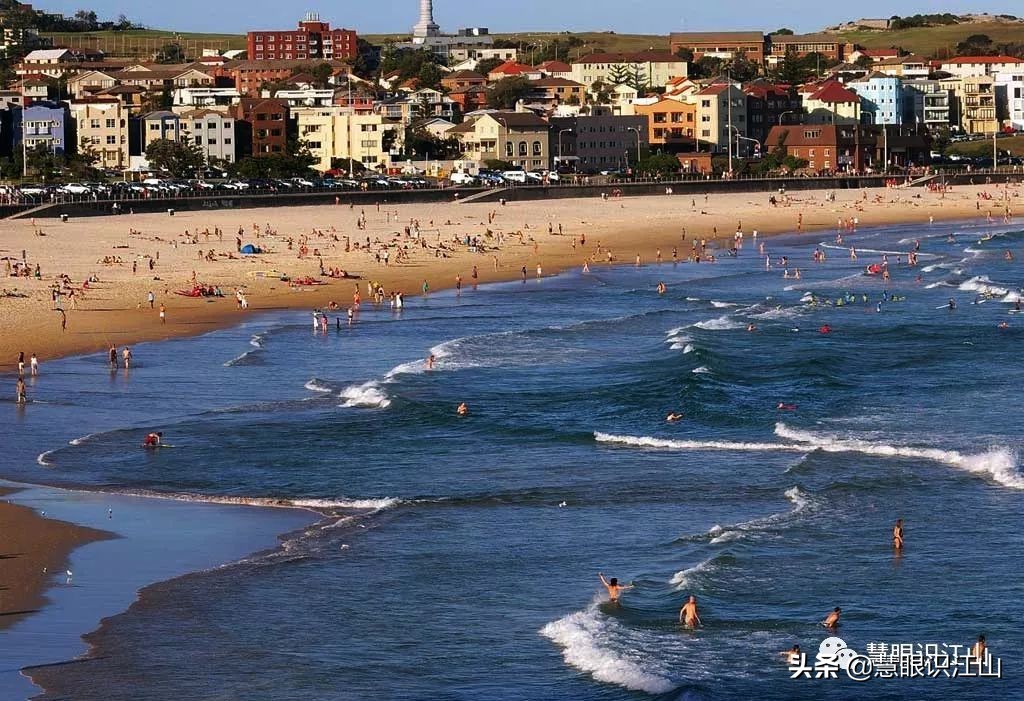 悉尼邦迪海滩,悉尼邦迪海滩新闻