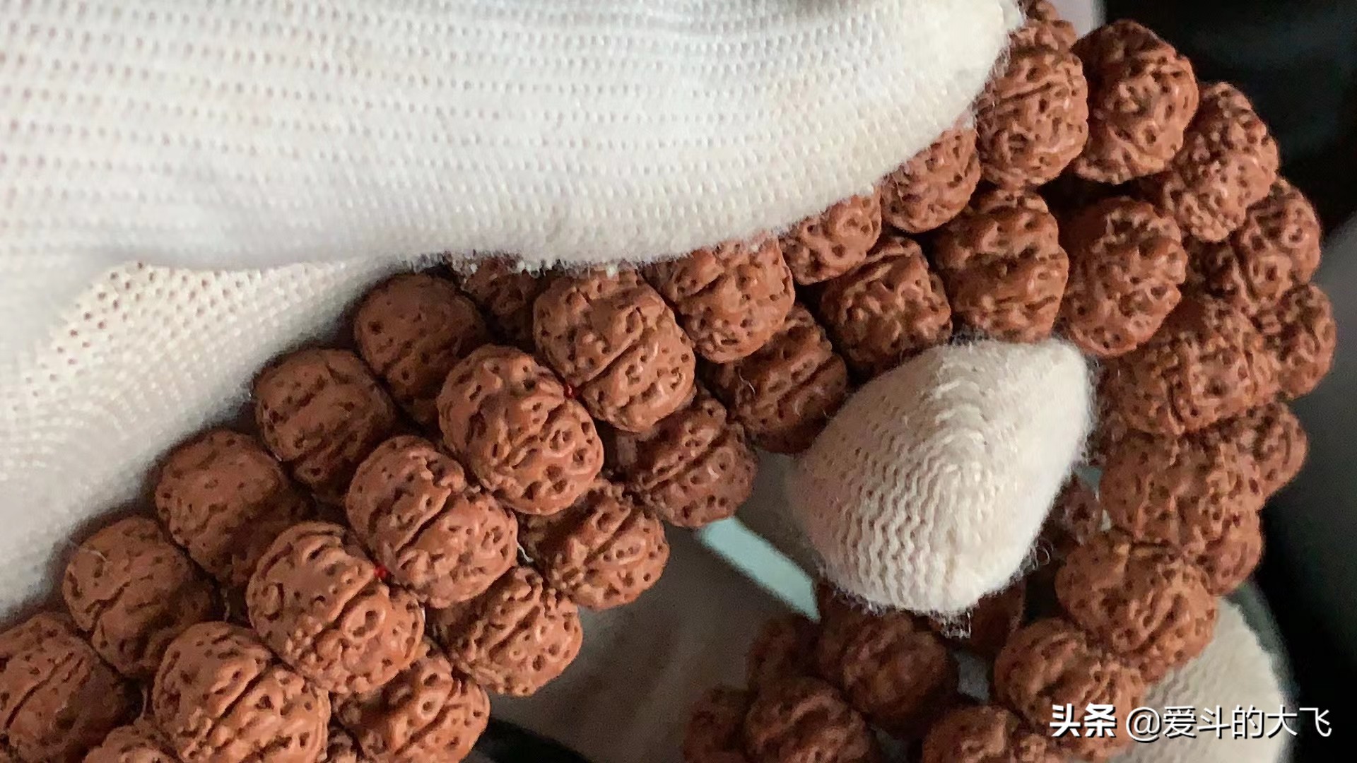 大飞说文玩：传说中的一代“树祖小金刚”你见过吗？