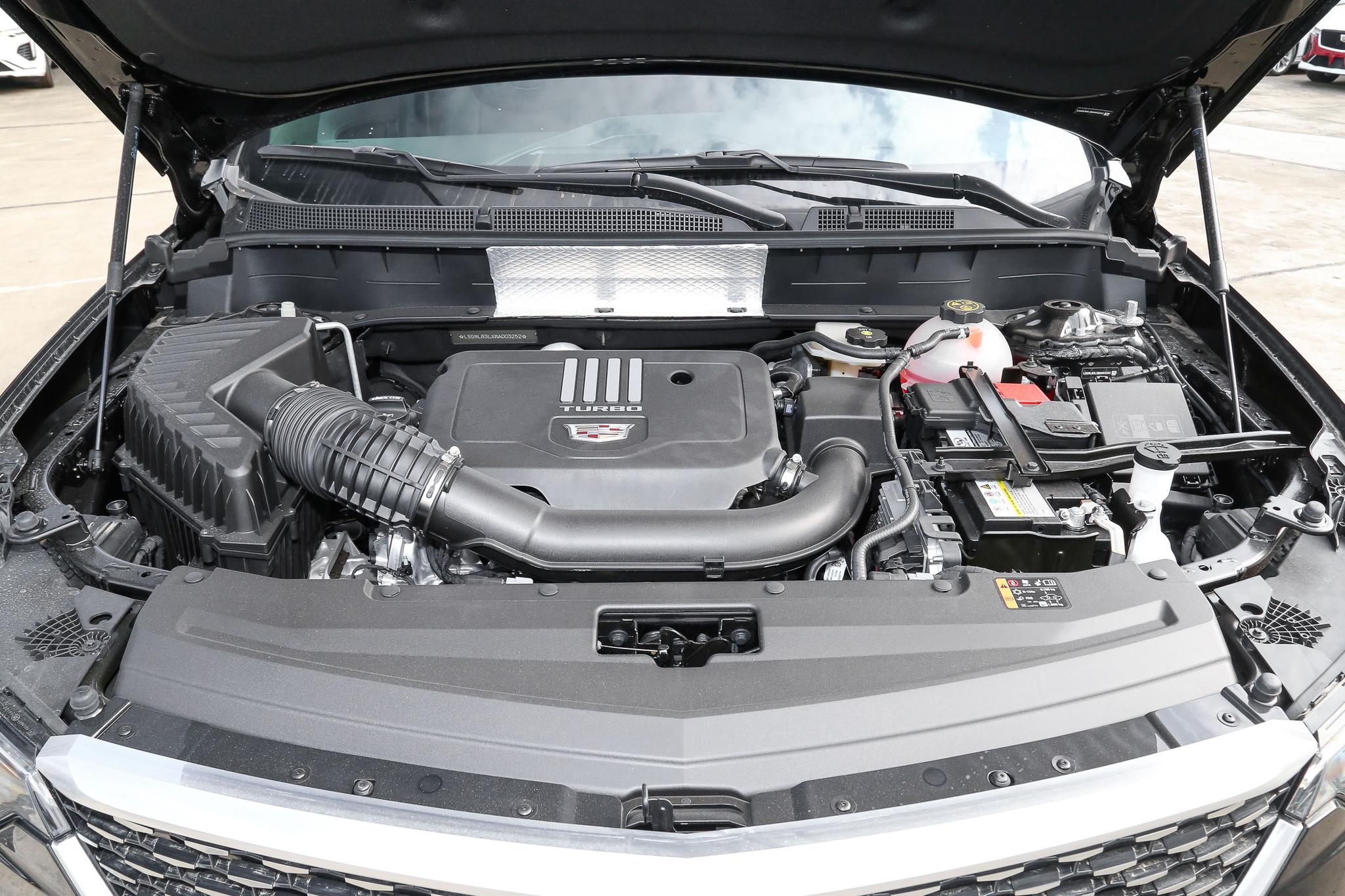 买车怕踩雷,买车怕坑去哪买