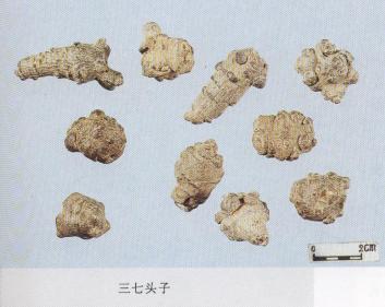 教你怎么辨别真假三七粉,真假三七粉教你三招