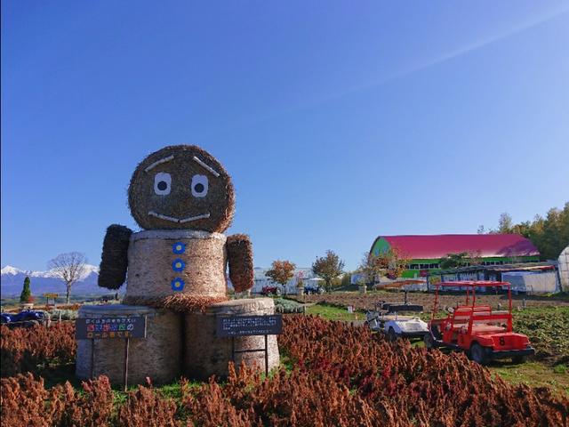 日本从南到北旅游路线,从南游到北