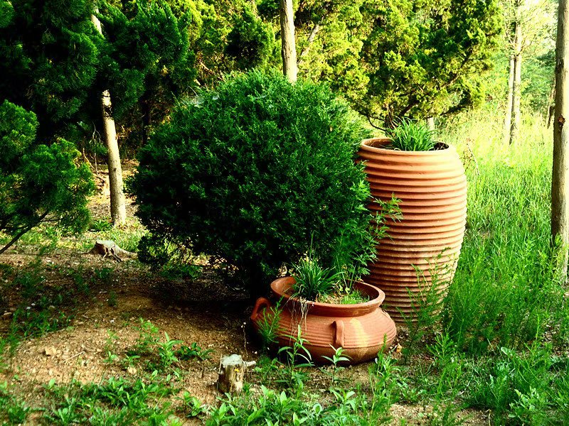 从造园料理到造园建筑,园林陶罐布置