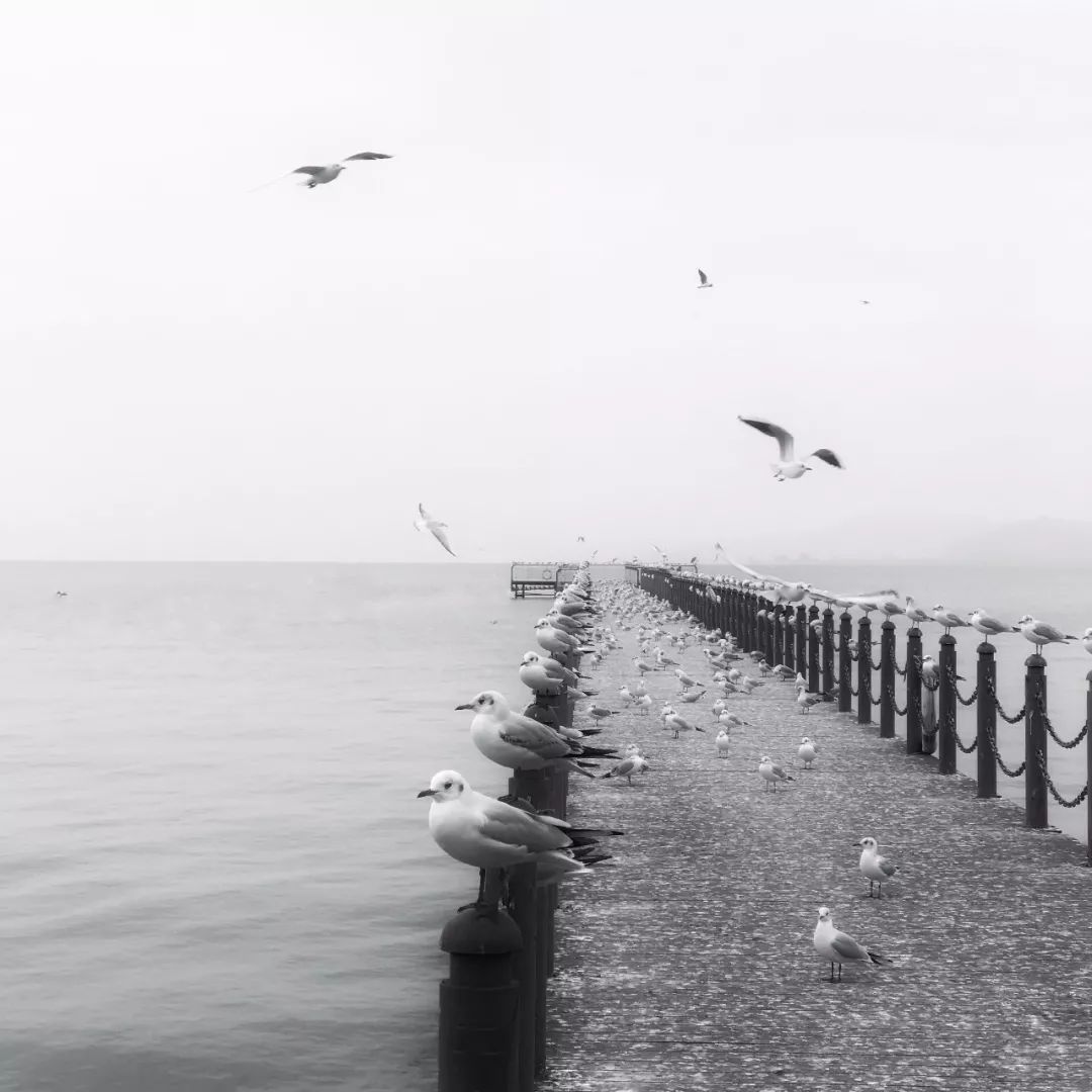 iphone手机拍照操作指南,iphone手机拍照技巧教程