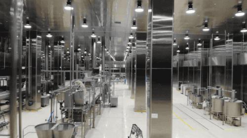 站在风口上的猪都能飞上天,站在风口上的猪也能飞起来