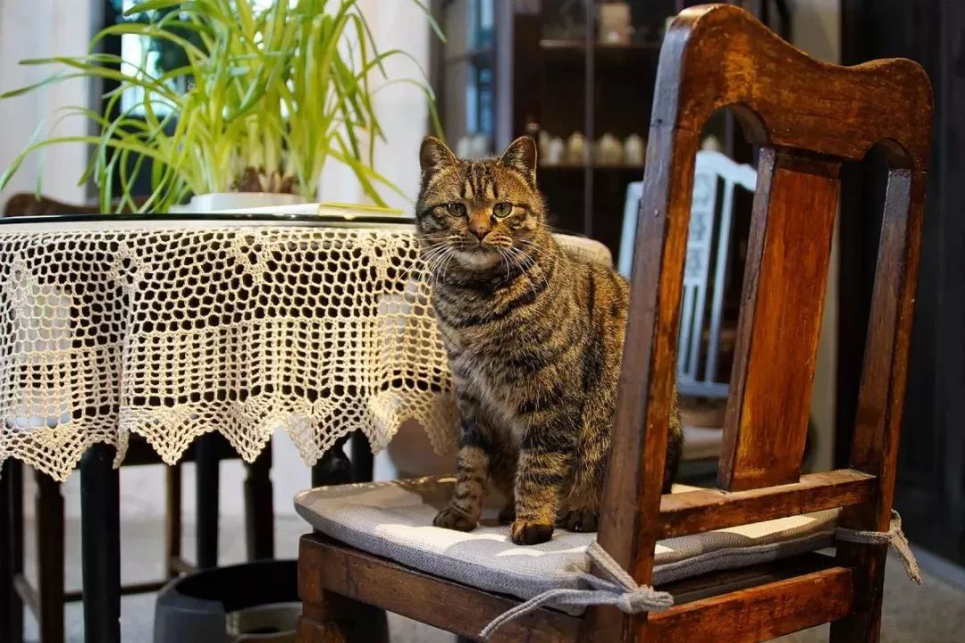 无锡十大精品店,无锡一家有逼格的店