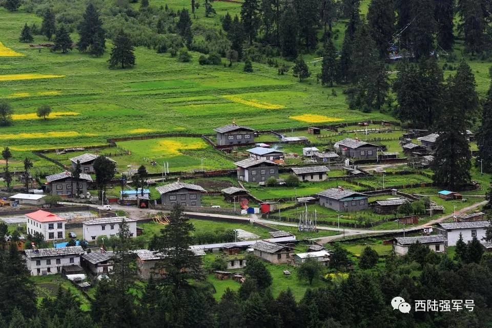 鏋楄姖鍐涙梾,鏋楄姖鍐涜惀鍦扮偣