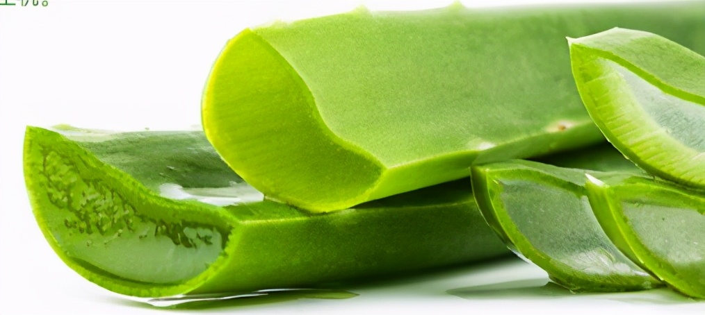 芦荟胶补水保湿的可以止痒吗 (芦荟胶可以补水吗保湿效果怎么样)