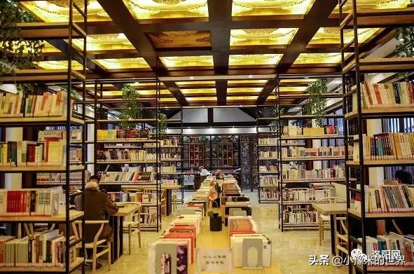 河南洛阳发布最新通知,洛阳牡丹花会向全世界发出邀请