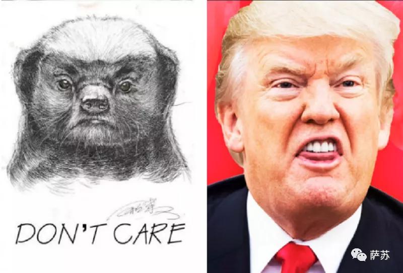 迈克杰克逊和特朗普年轻的时候,迈克尔杰克逊和特朗普是什么关系