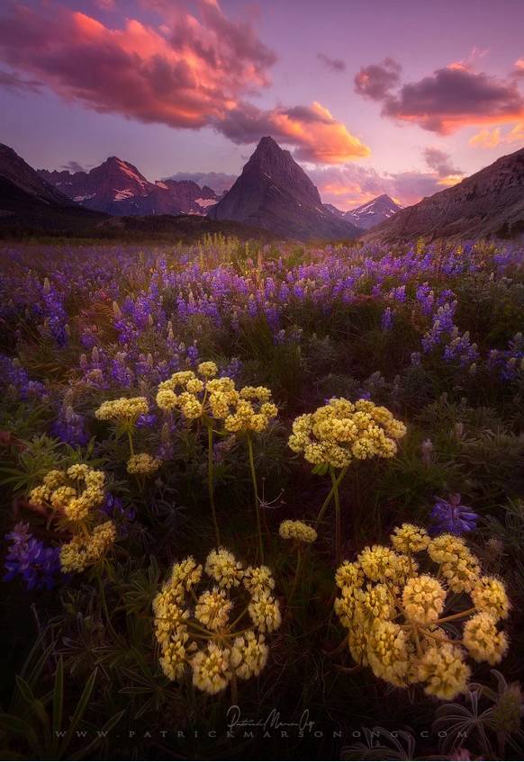 广角为什么画质那么差,广角太卡怎么办