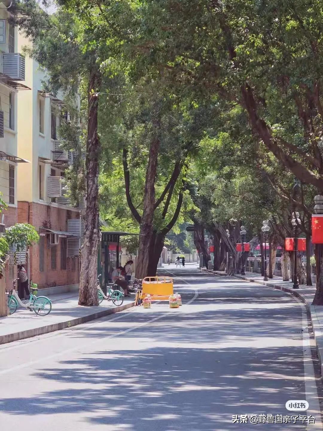 广州遛娃旅游推荐路线攻略,广州遛娃清单升级版