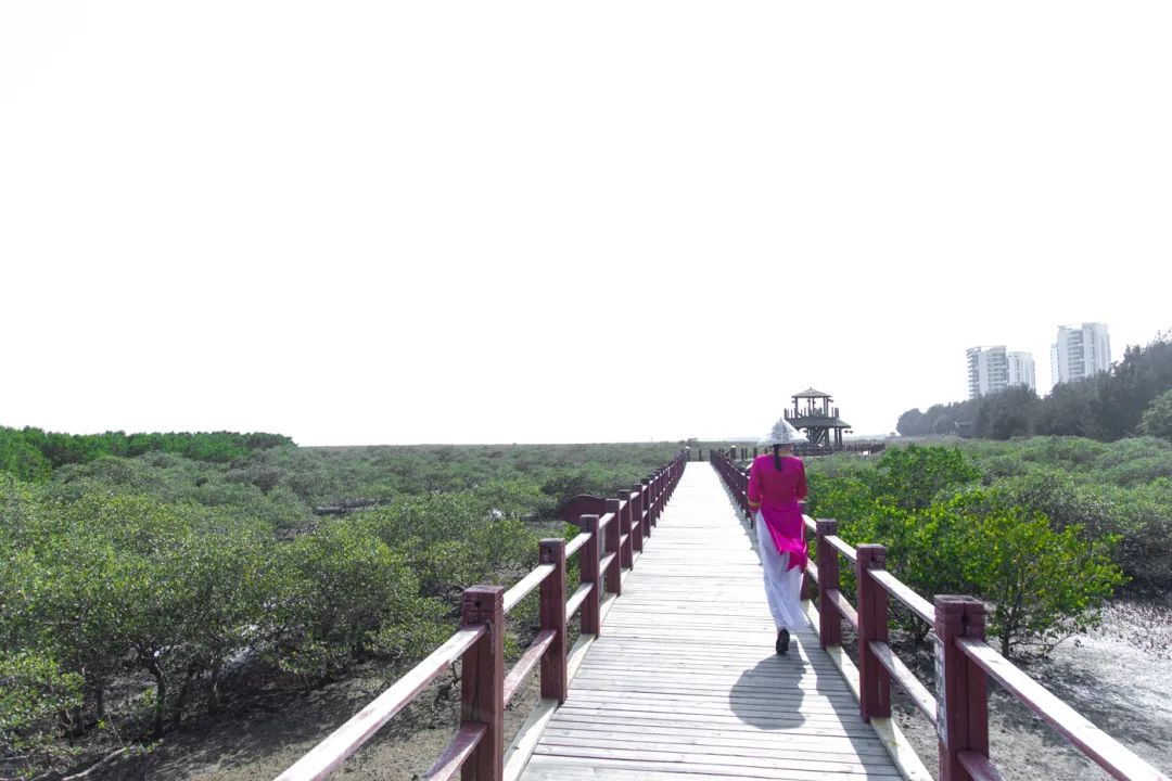 银海风景,银海美景