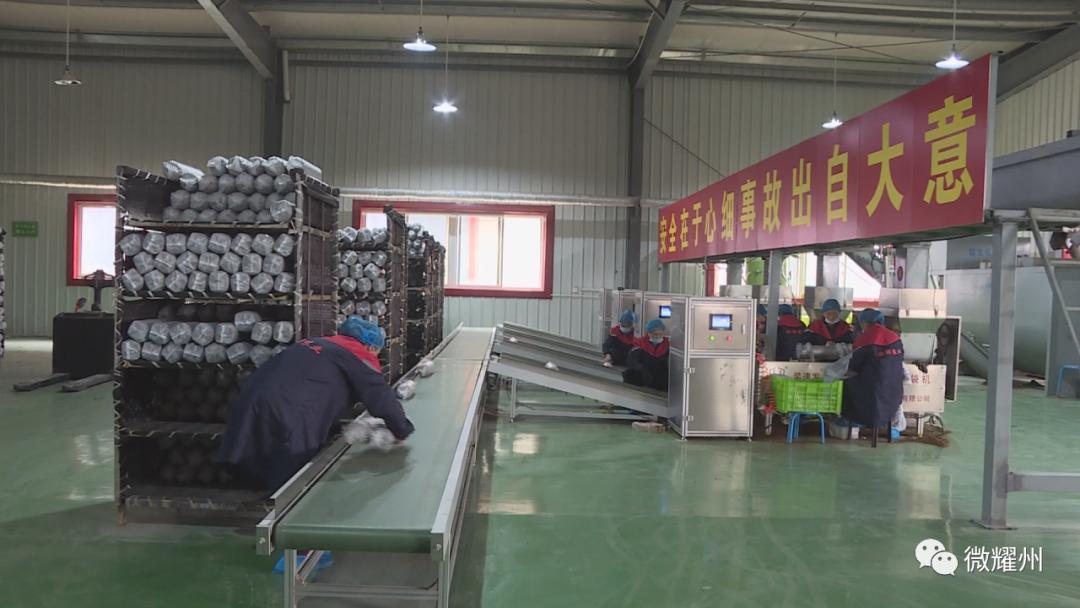 德祥实业食用菌生产加工,德祥香菇