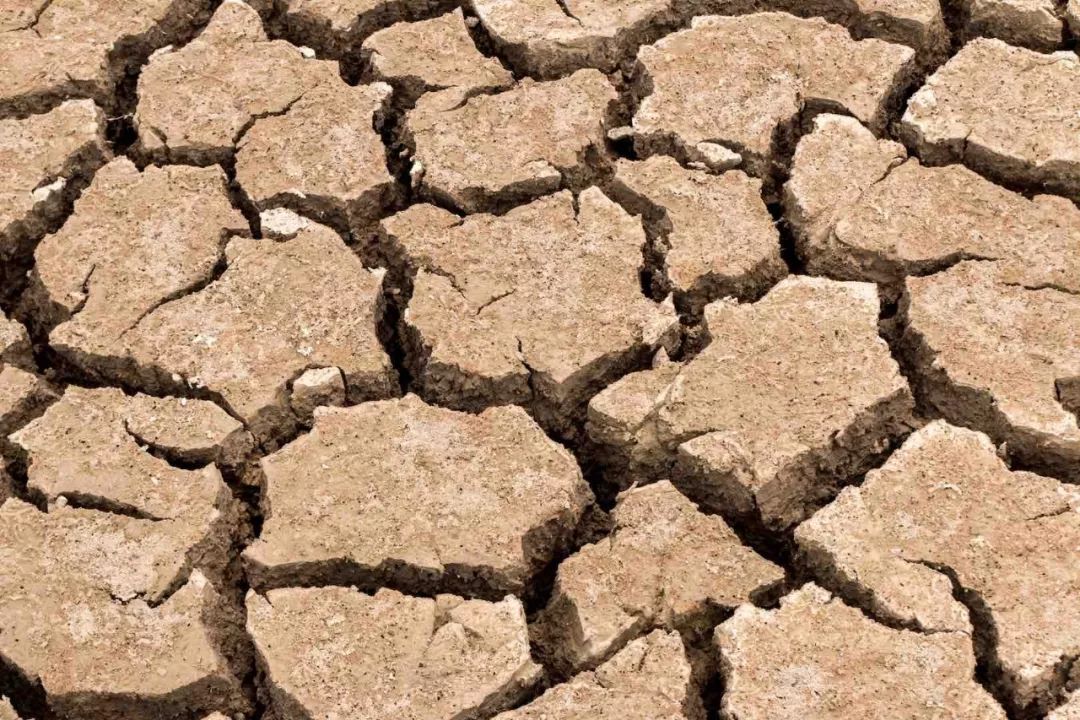 泰国冬天最低气温多少度,几月份去泰国天气最好