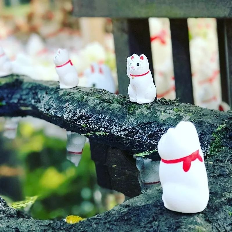 东京自由行最佳攻略详细,东京5日自由行攻略