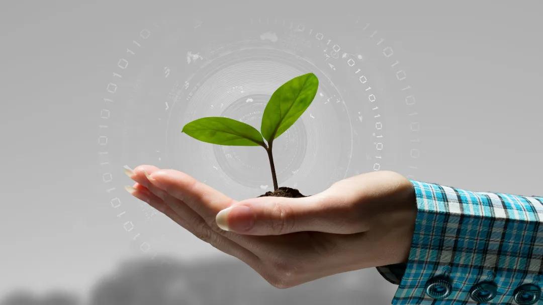 人肉搜索举报违法行为,人肉搜索违法行为处理