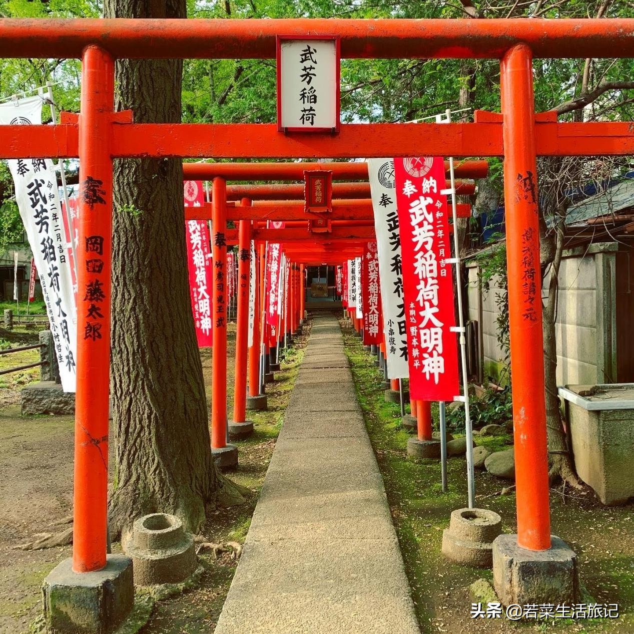 东京宝可梦中心购物,东京精灵宝可梦