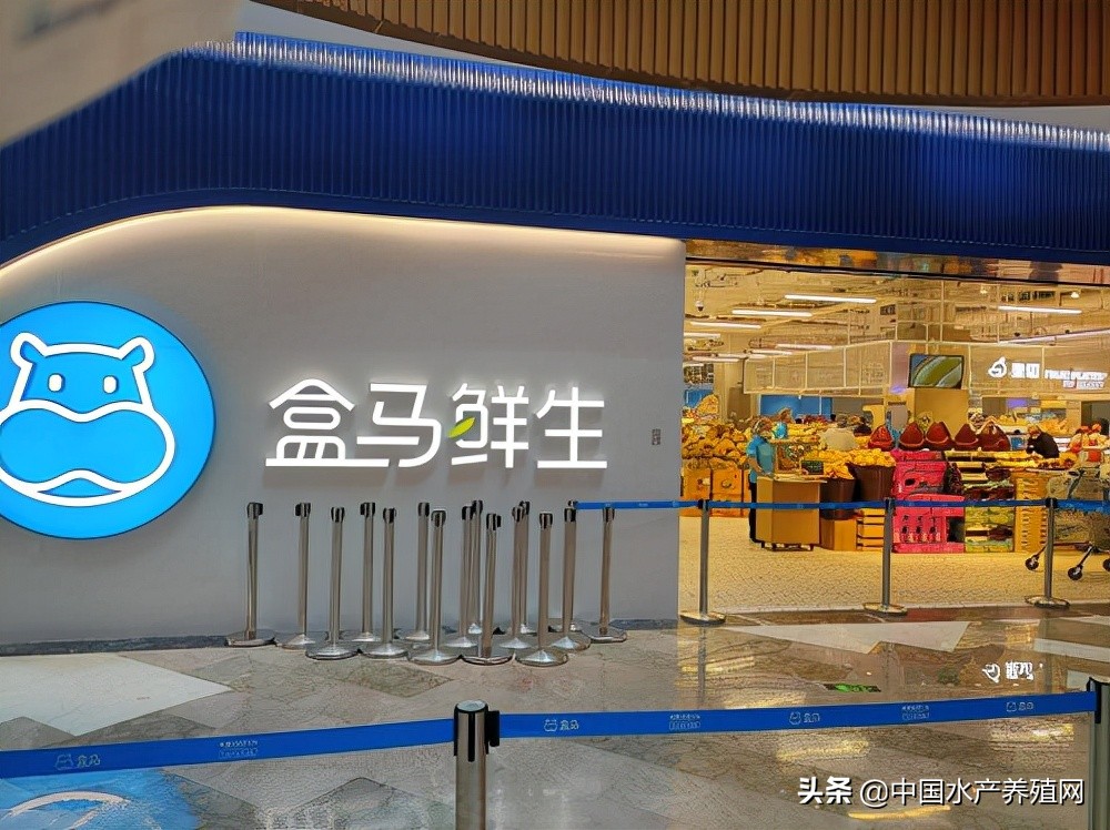 盒马鲜生合肥首家,盒马鲜生入驻肥东