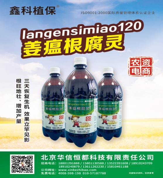 姜瘟病怎么防治用什么药,预防姜瘟病用啥药