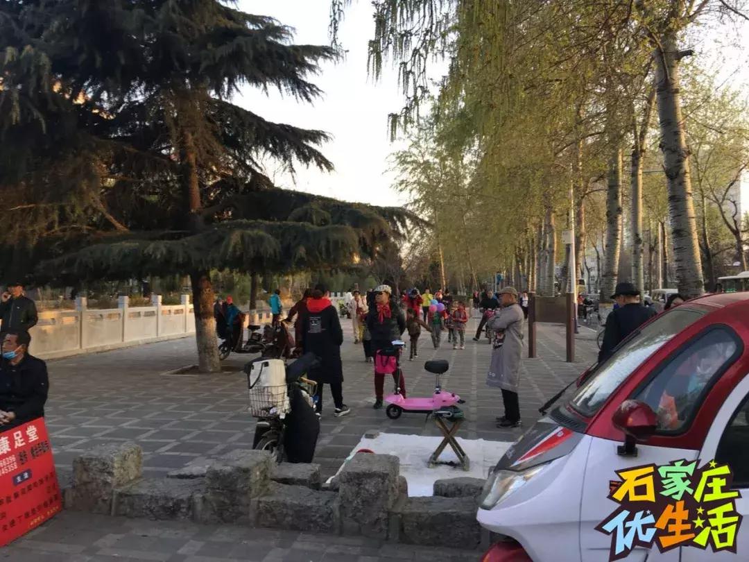 夹缝里生存,夹缝中生存