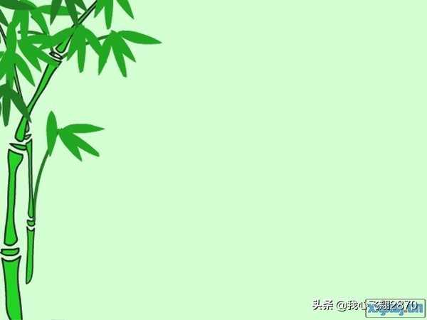 ppt实用素材,比较实用的ppt