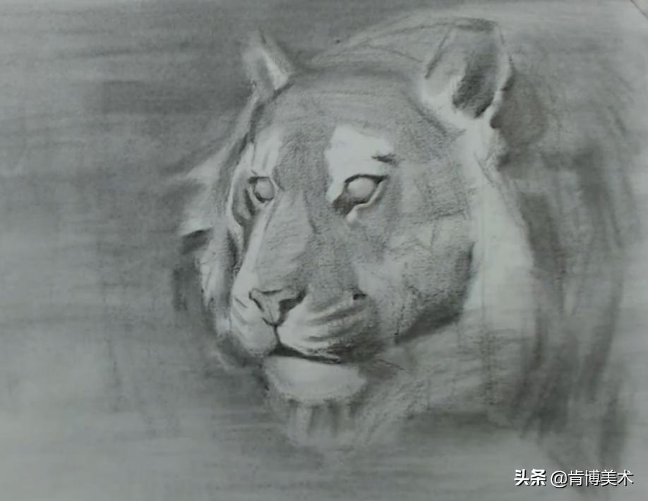 怎么画老虎素描新手,画素描老虎的步骤与方法