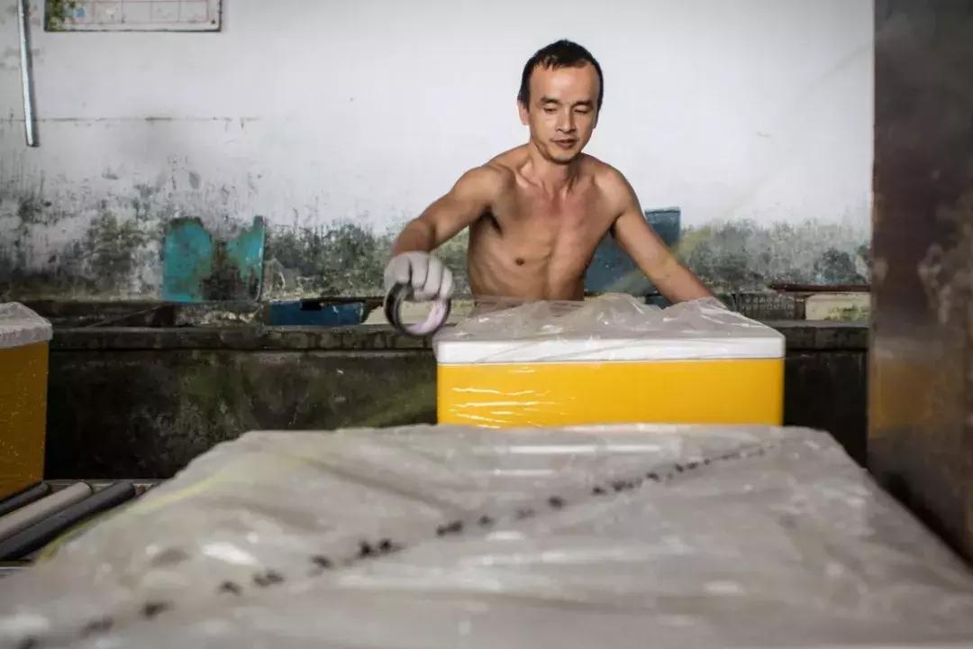 农民工晒工资,农民工晒工资条