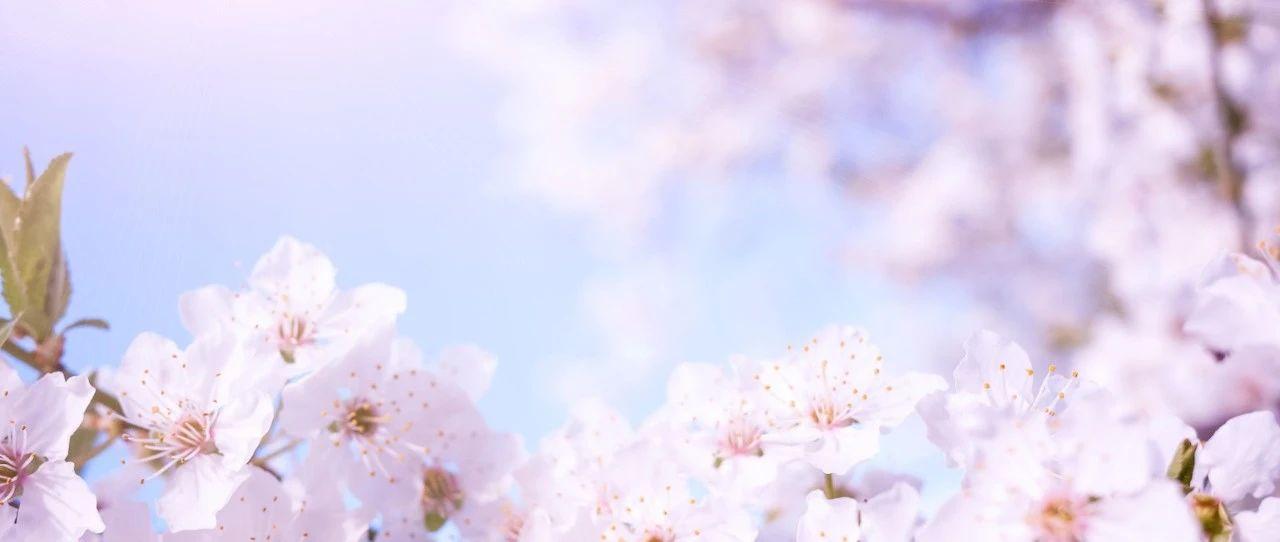 大和证券下载,恭喜新伙伴加入公司