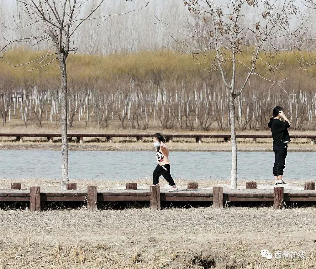 天津2022哪些公园恢复开放,天津水西公园现在恢复开放了吗