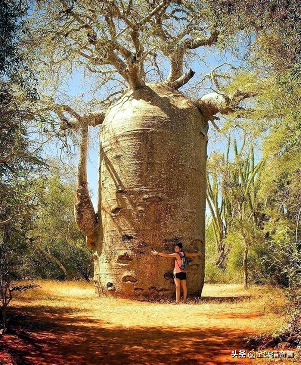 word一般字体大小是多少,word字体大小是多少