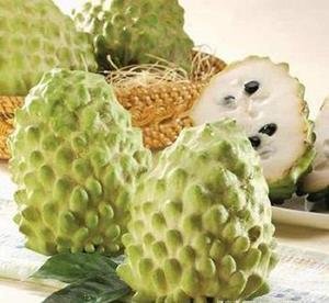 番荔枝外形酷似荔枝，故名“番荔枝”，为热带地区著名水果