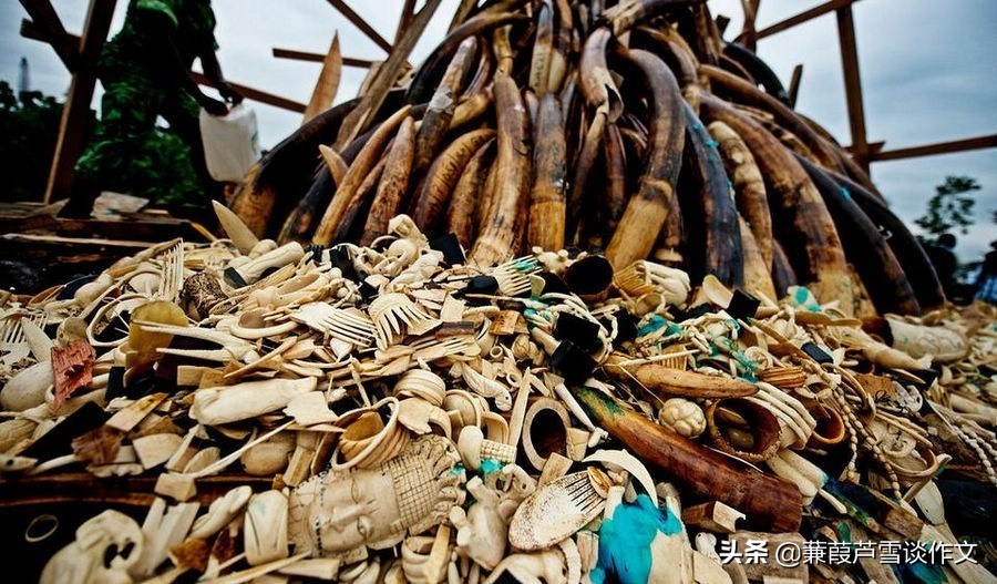 常考的应用文写作,常考应用文写作高中语文