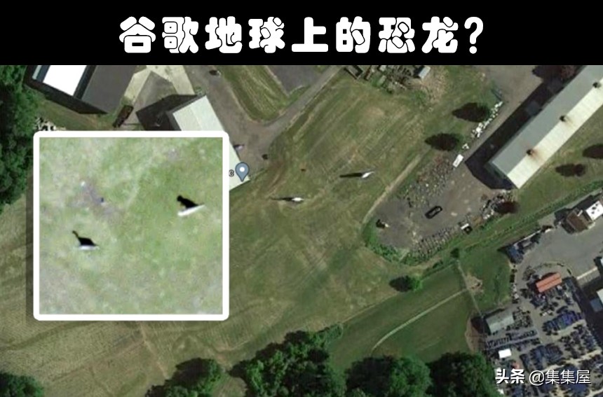 从谷歌地图上拍到的奇怪生物,在谷歌地图上发现的巨大怪异生物