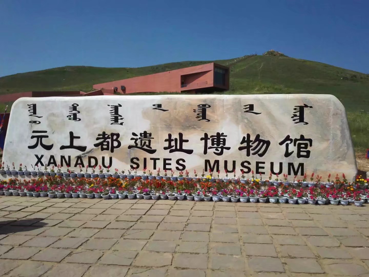 旅行去看草原美景,去草原撒欢视频