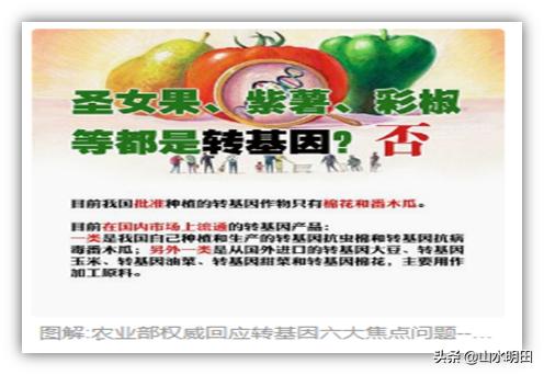 你常吃的蔬菜居然是甲醛泡出来的,你经常吃的水果是低糖的水果吗