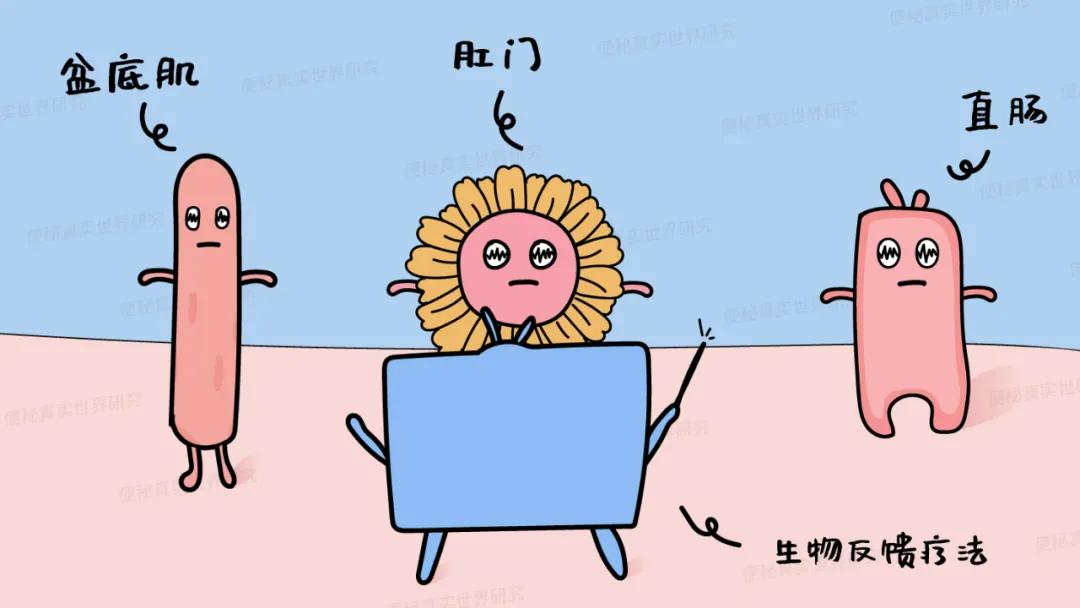 便秘生物反馈治疗是什么意思,便秘的生物反馈治疗法