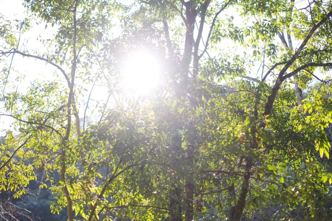 极边之城腾冲,来这里必做的八件事,否则白来了