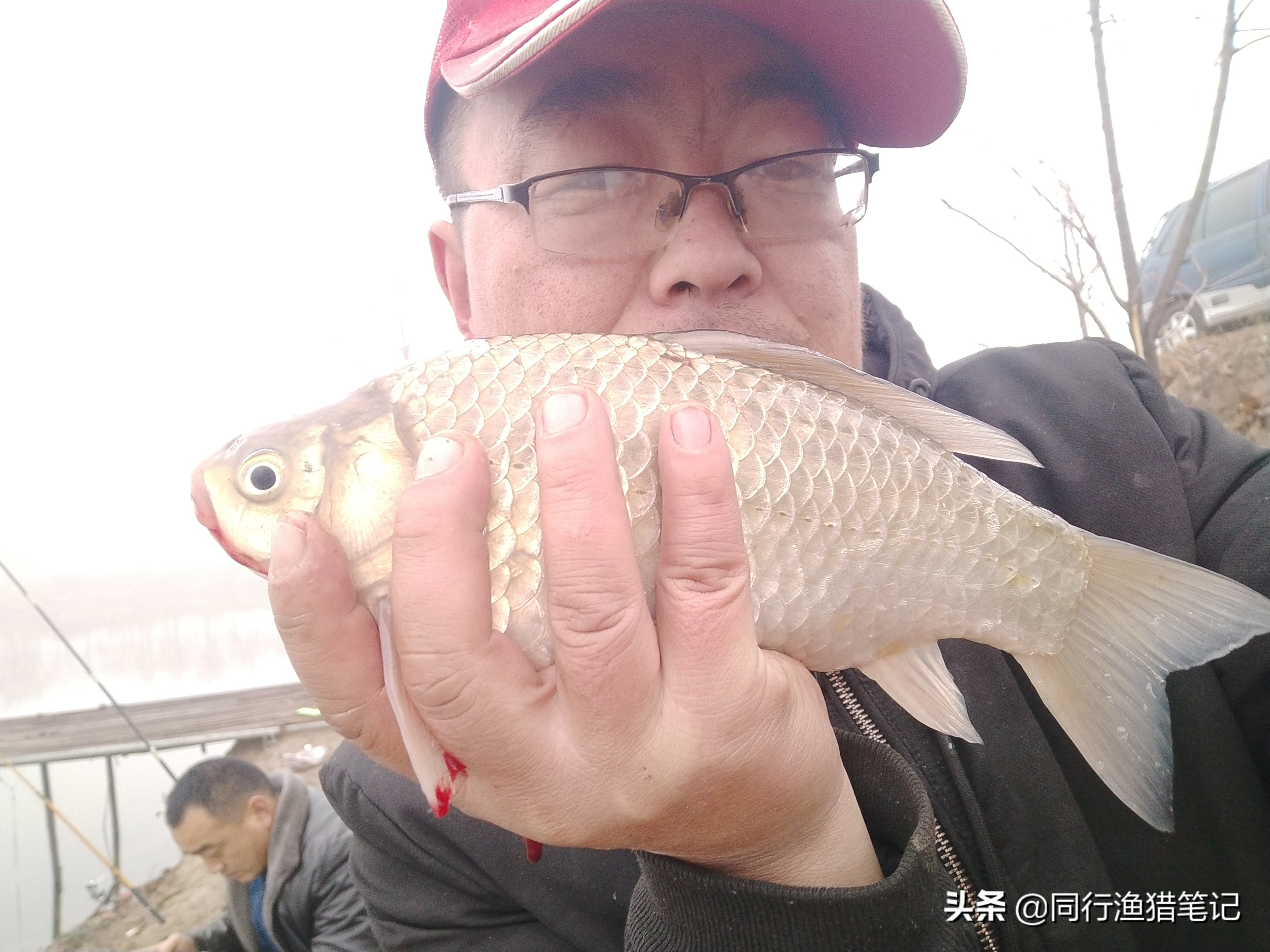 蘸料小米钓鱼,自制大米钓鲫鱼防止小杂鱼