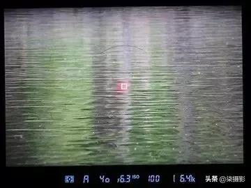 各种对焦模式的适用范围,聚焦区域和自动对焦模式的选择