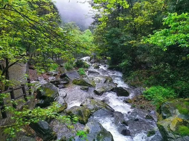 广西旅游景区向全国医护人员免费,疫情医护人员景区免费