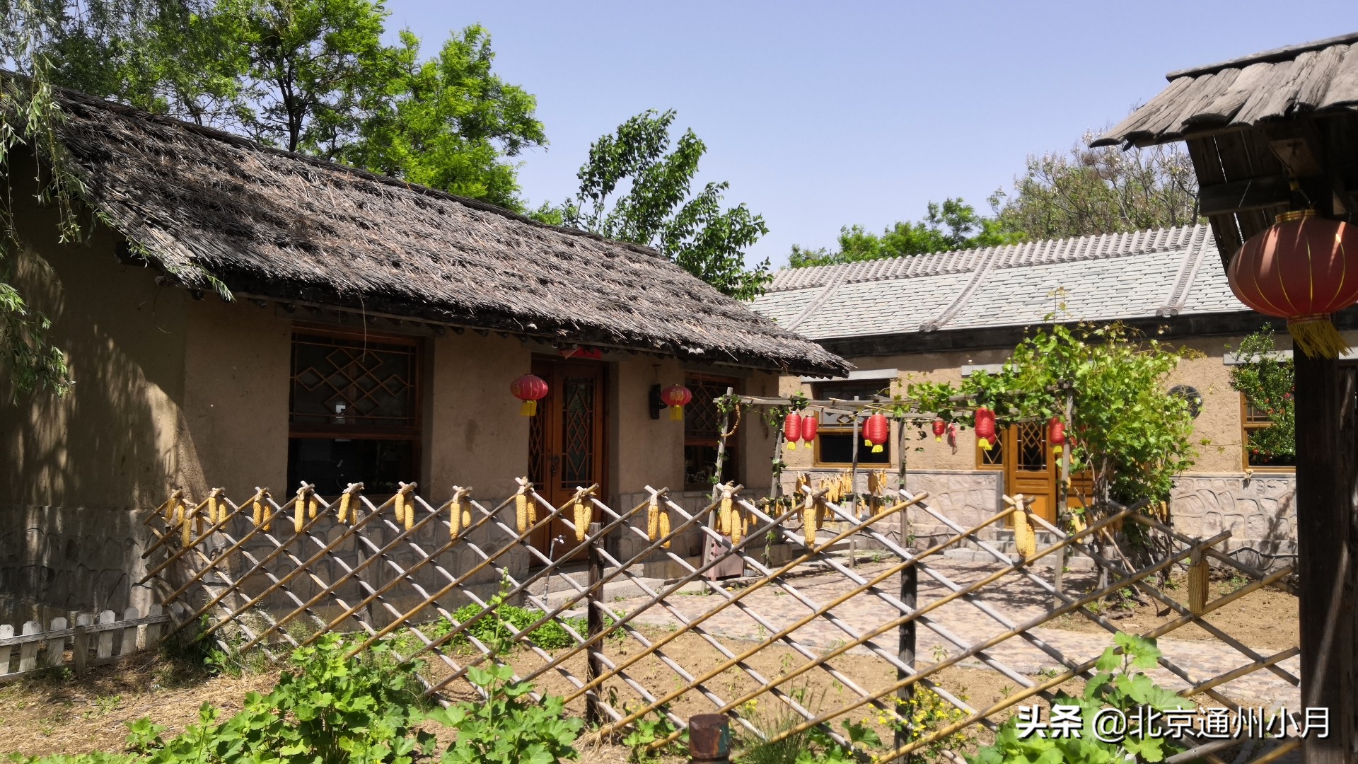 北京的蟹岛,北京最大的蟹岛