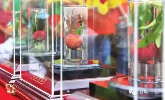 广州11个区详解,广州12个区