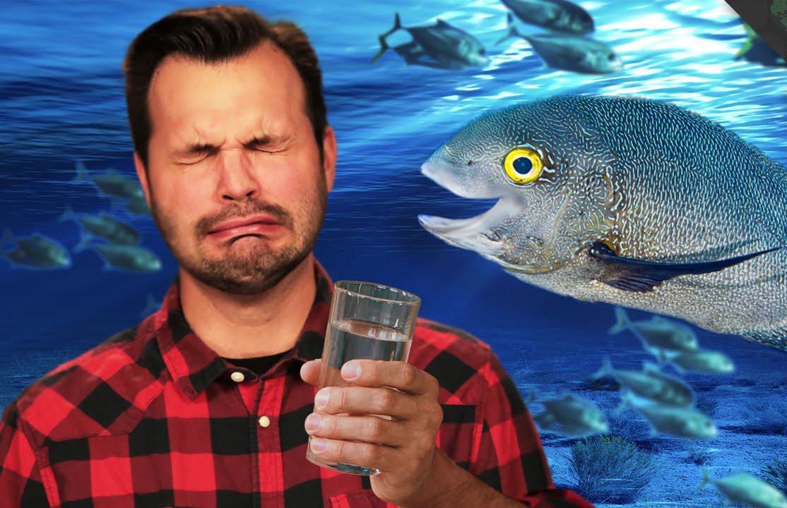 海水会喝死吗,海水为什么是咸的呢能喝吗