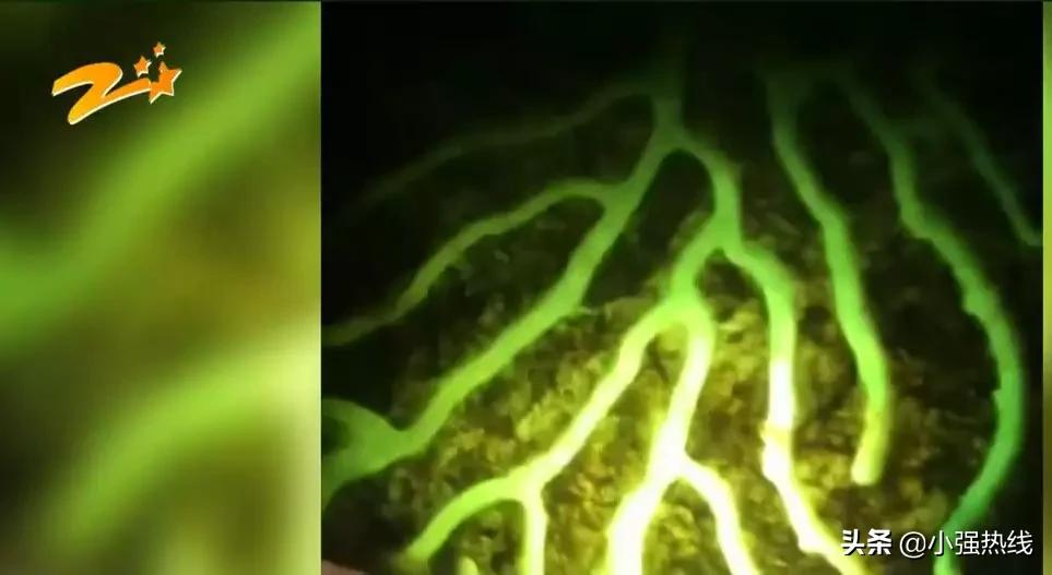 直播间买翡翠手镯货不对版怎么办,为什么直播间买翡翠感觉货不对版