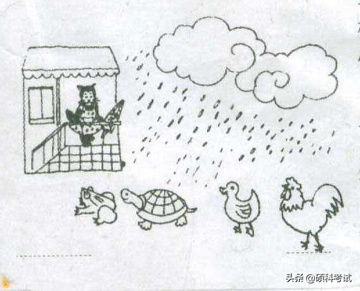 语文看图写话如何练习,一上必考语文看图写话练习题