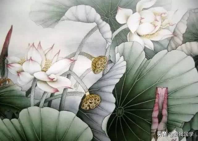 古今有关咏莲的诗词名句,咏莲的诗句唯美