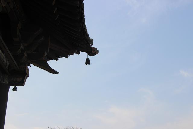 最容易上岸的郑州考研院校,河南考研学校上岸率排名榜